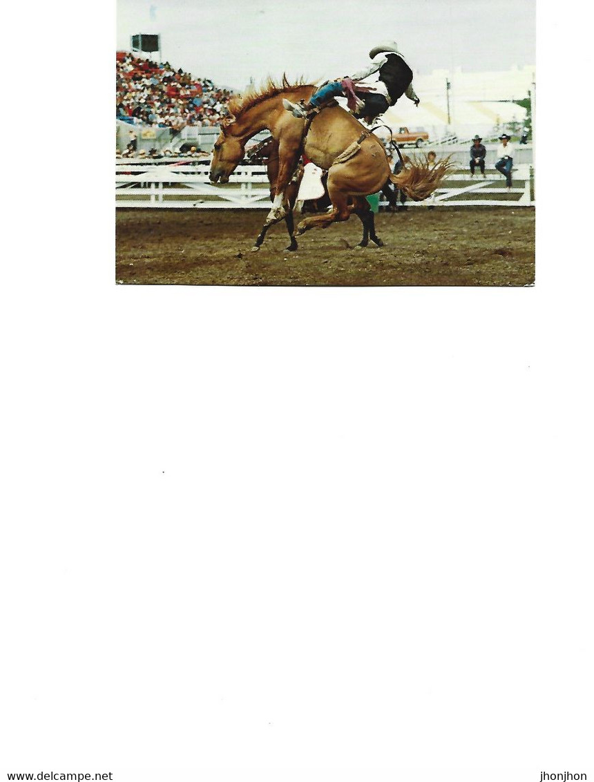 Postcard Used 1982-Calgary Exhibition And Stampede(greatest Outdoor Show On Earth) Is Held Annually During July- 2/scans - Calgary
