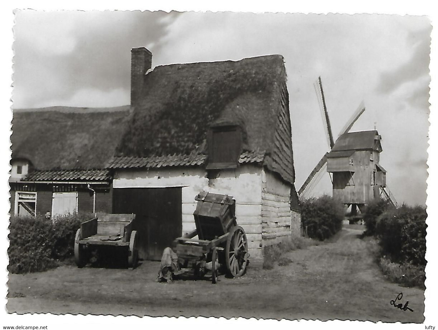 Zichtkaart - MOLEN En MOLENHUIS - Plaats Onbekend - Histoire