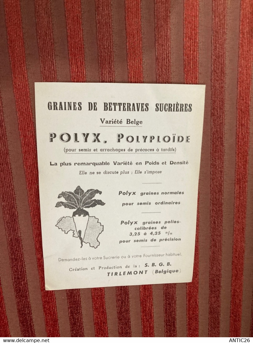 Petit Calendrier Publicité  1962 Polyx. Polyploide Graines De Betteraves Sucrières Tirlemont Belgique - Grand Format : 1961-70