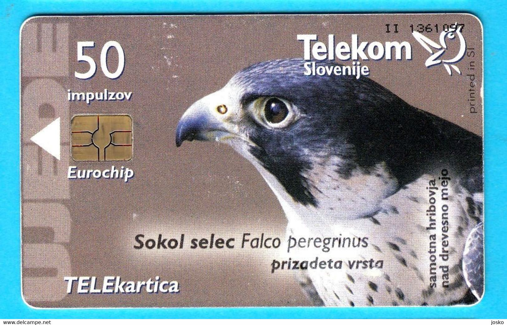 HAWK - Slovenian Old Rare Card * Faucon Falke Falco Halcón Falcão Birds Of Pray Rapace Bird Raptors Raptor - Adler & Greifvögel