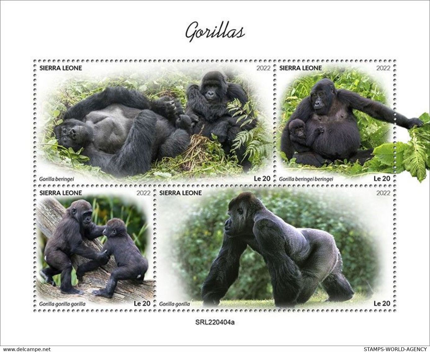 2022-08 - SIERRA LEONE - GORILLAS              4V    MNH** - Gorilles