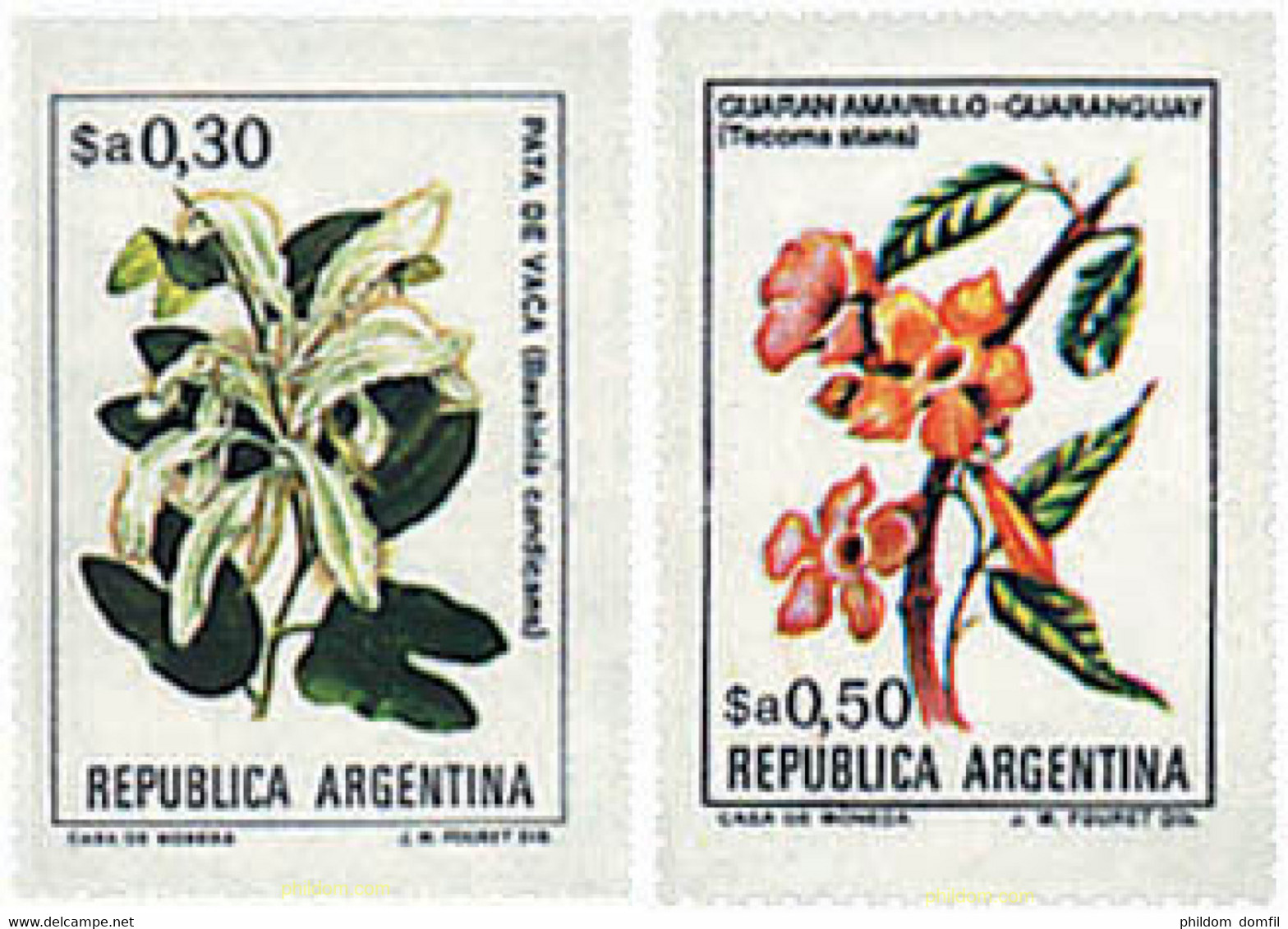 246794 MNH ARGENTINA 1983 FLORES - Usati