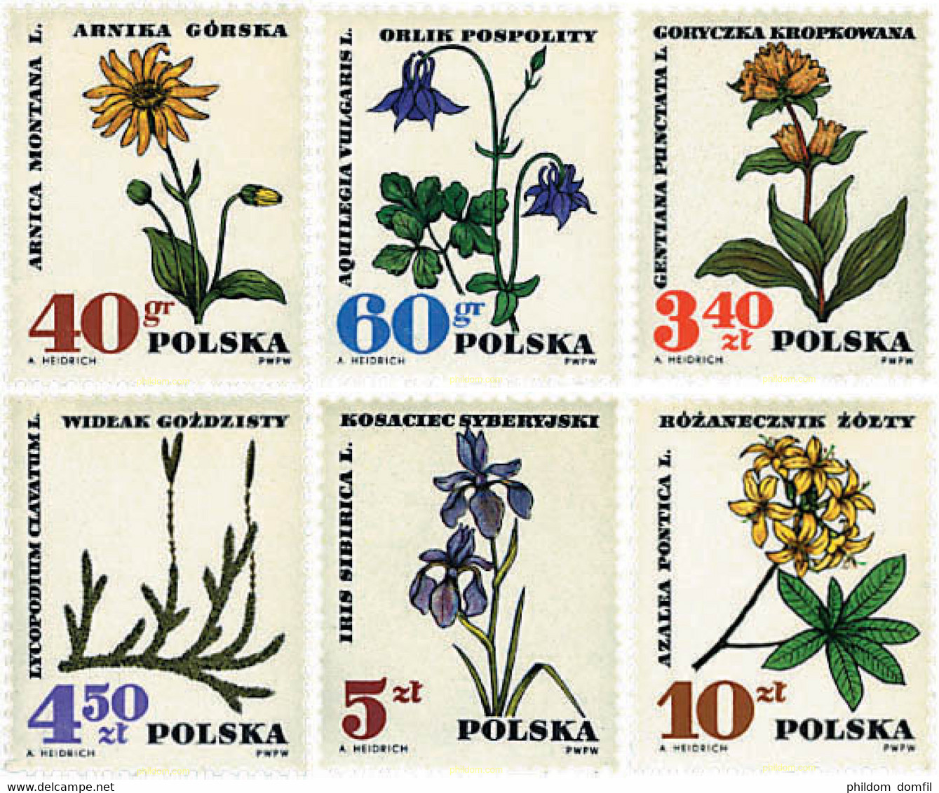 94360 MNH POLONIA 1967 FLORES SILVESTRES - Unclassified
