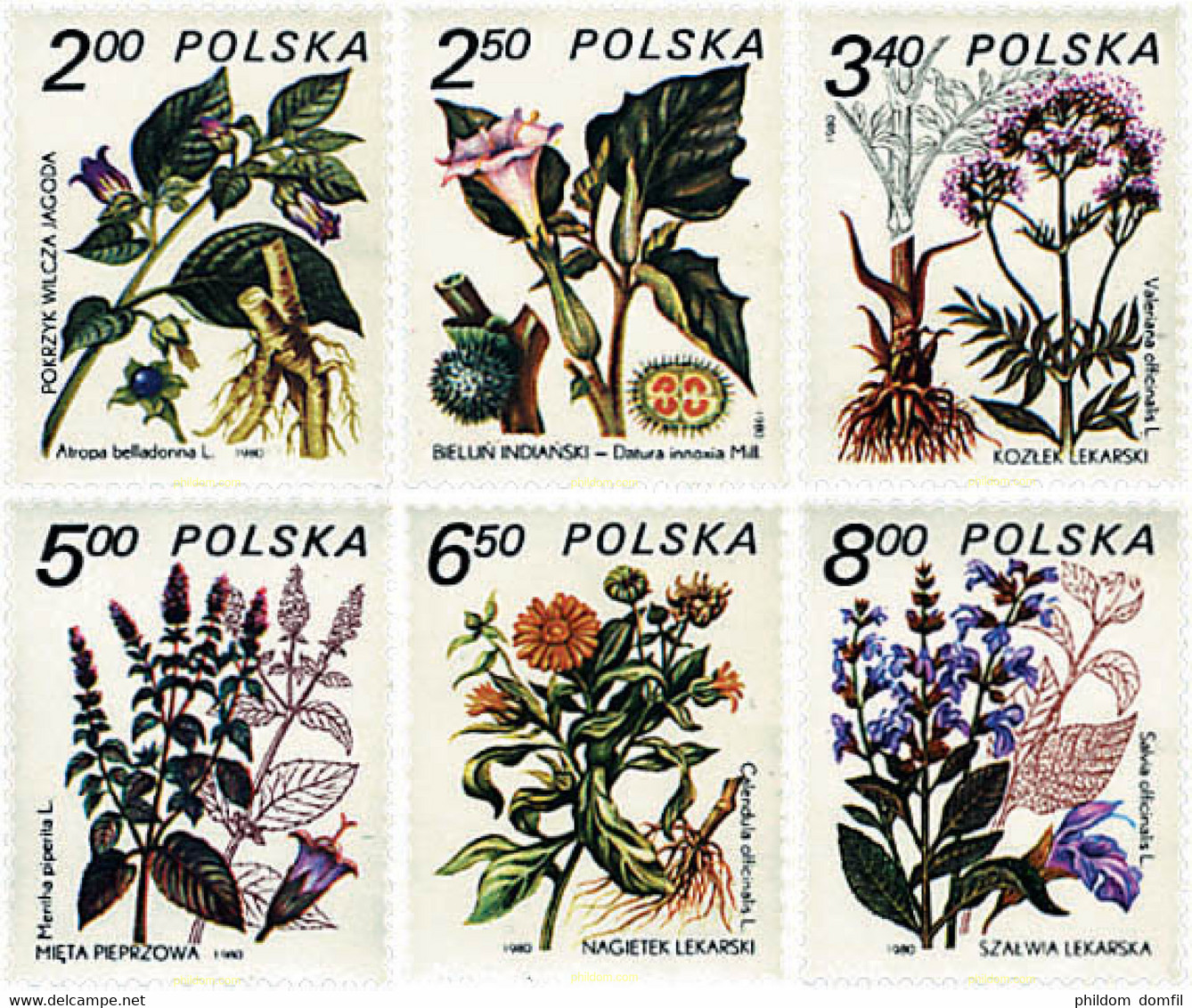 94373 MNH POLONIA 1980 PLANTAS MEDICINALES - Non Classés