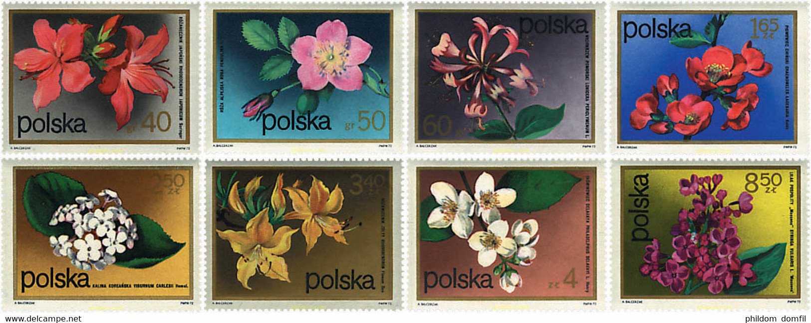 94364 MNH POLONIA 1972 FLORES - Unclassified