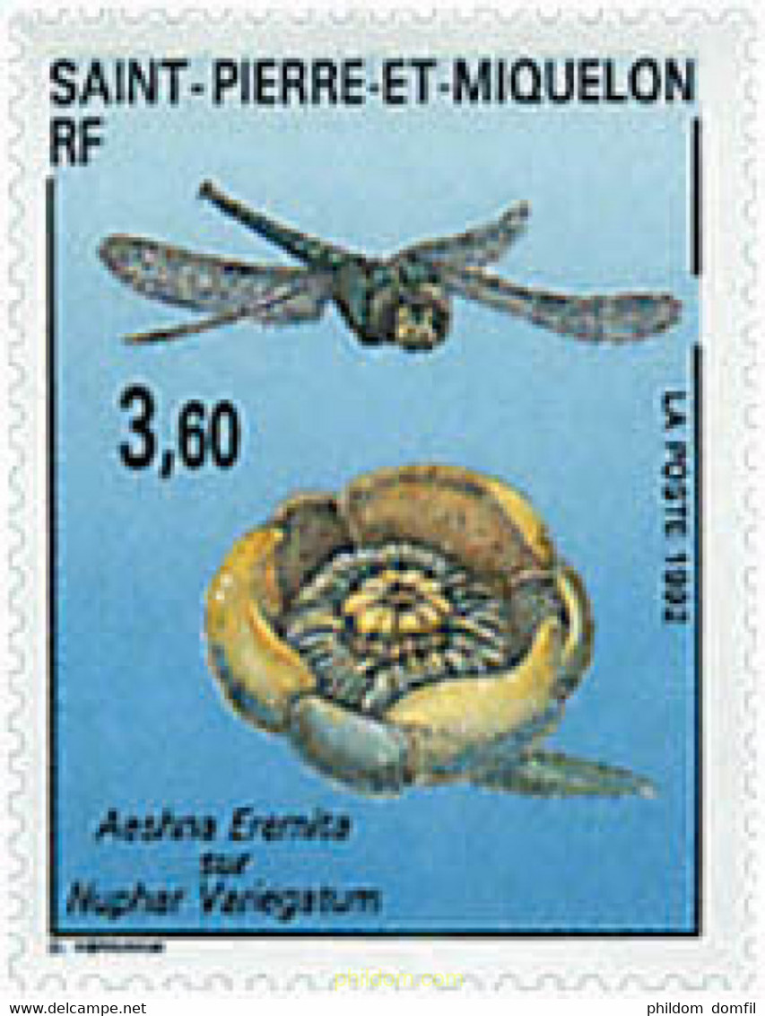 96419 MNH SAN PEDRO Y MIQUELON 1992 FAUNA Y FLORA - Used Stamps