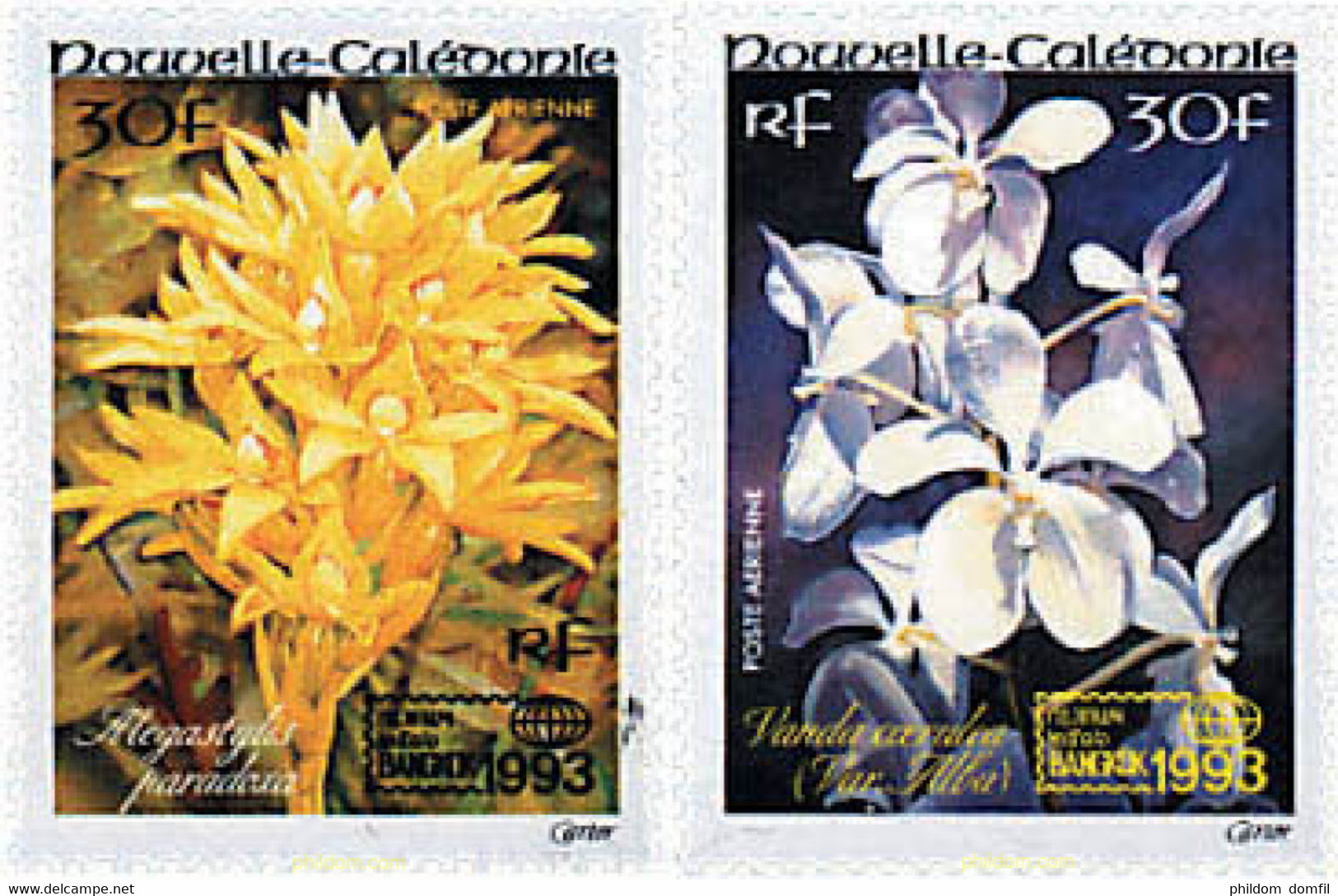 94962 MNH NUEVA CALEDONIA 1993 BANGKOK 93. EXPOSICION FILATELICA INTERNACIONAL - Usati