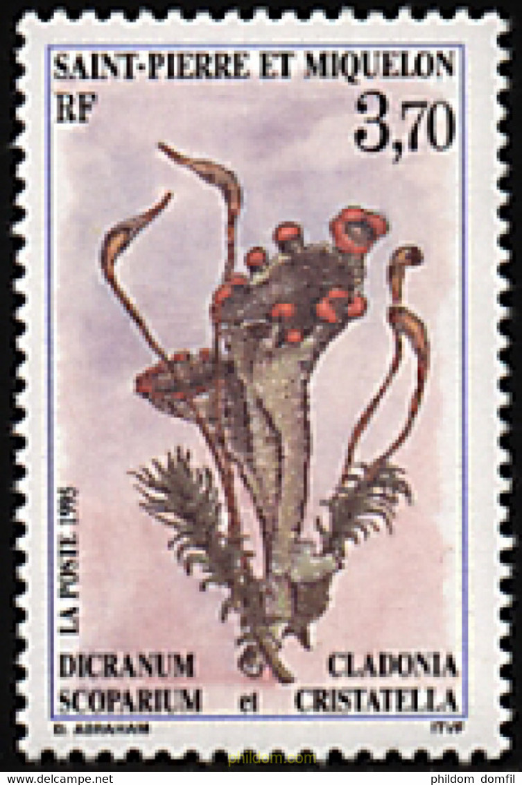 93195 MNH SAN PEDRO Y MIQUELON 1995 FLORA - Usados