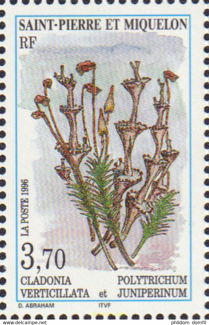 93196 MNH SAN PEDRO Y MIQUELON 1996 MUSGOS Y LIQUENES - Used Stamps