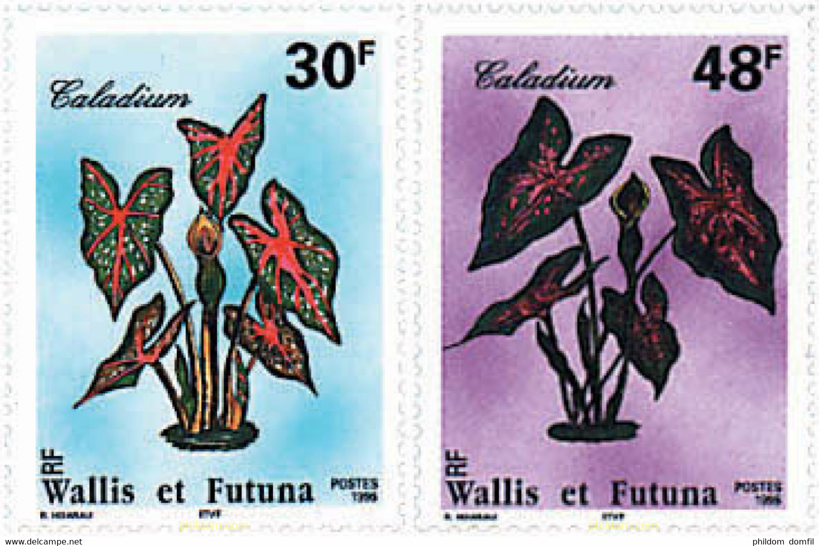 92990 MNH WALLIS Y FUTUNA 1996 FLORES LOCALES - Usados