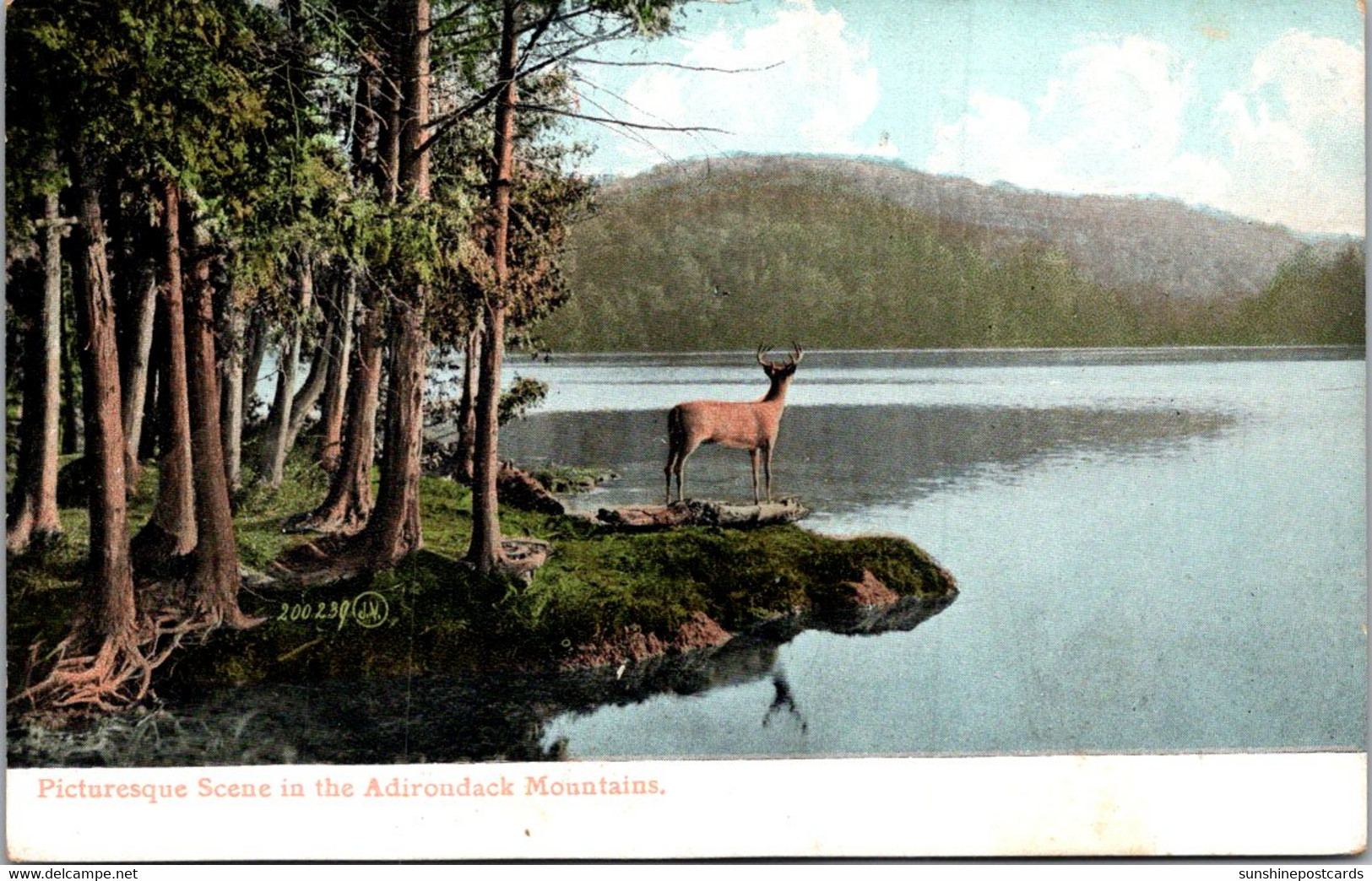 New York Picturesque Scene In The Adirondack Mountains - Adirondack