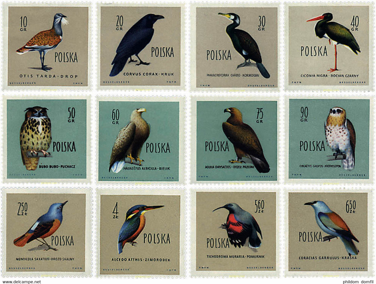 61574 MNH POLONIA 1960 AVES - Ohne Zuordnung