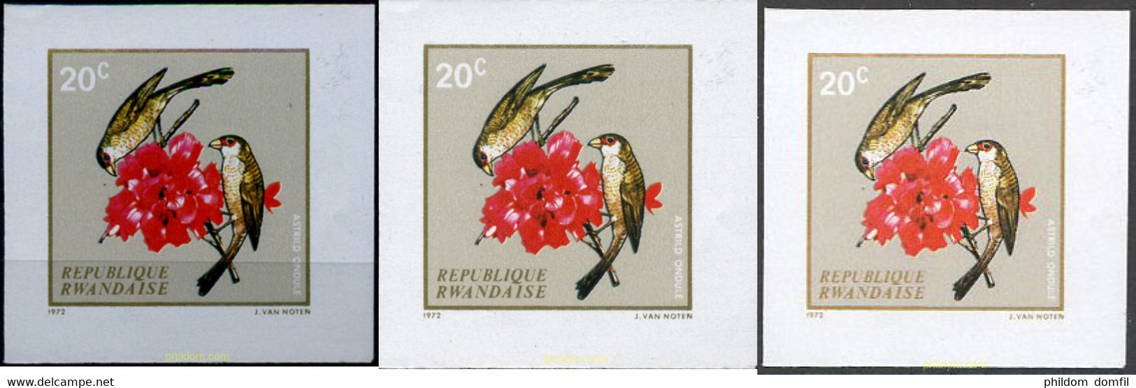 221827 MNH RUANDA 1972 AVES - 1970-1979