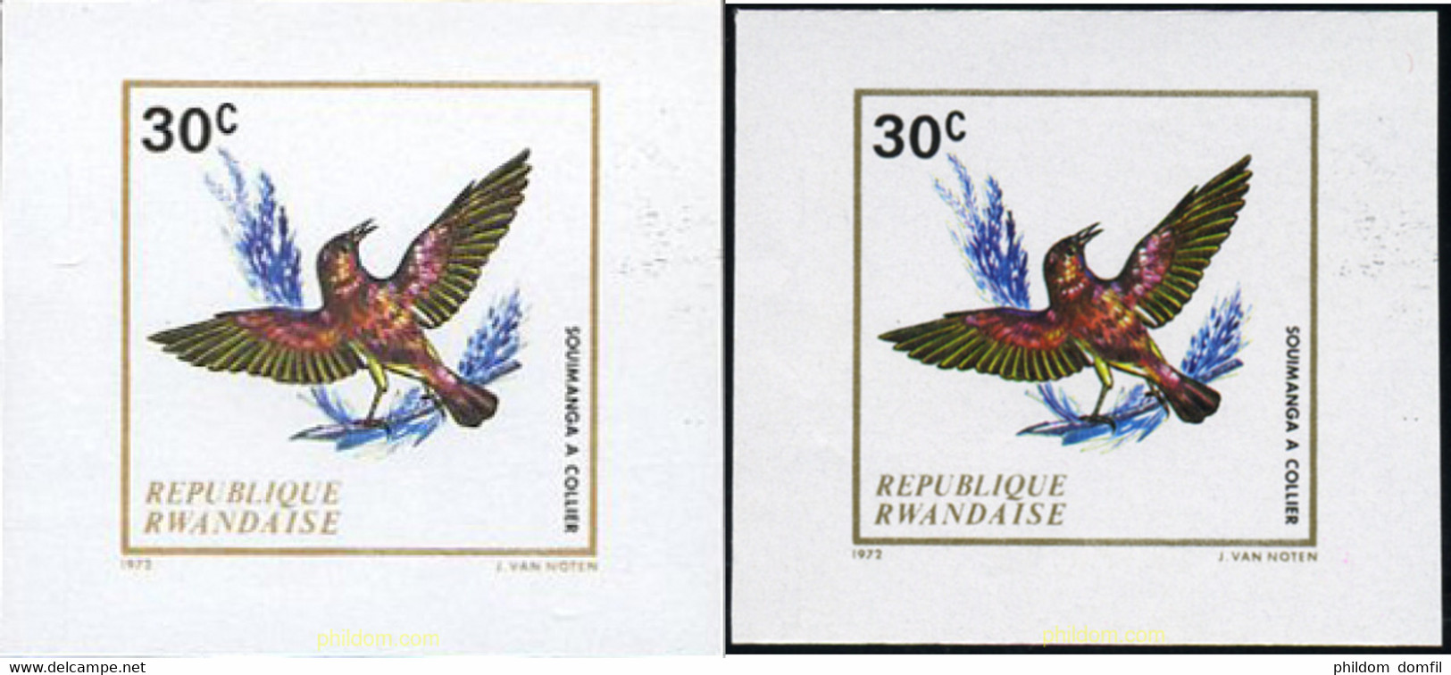 221828 MNH RUANDA 1972 AVES - 1970-1979