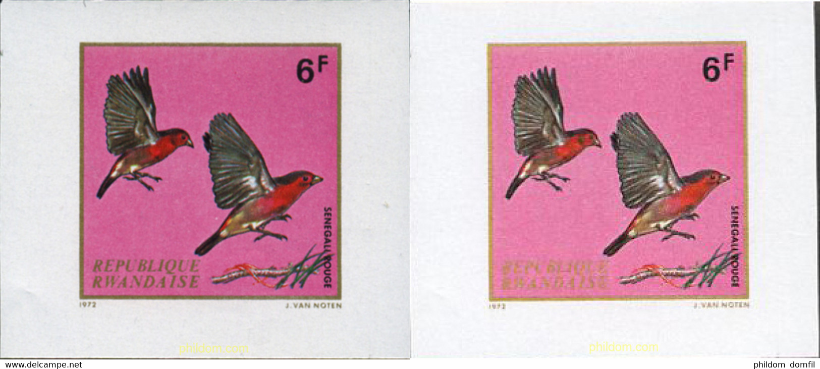 221829 MNH RUANDA 1972 AVES - 1970-1979