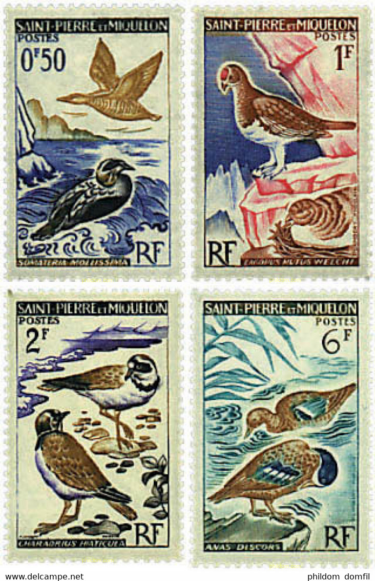 36942 MNH SAN PEDRO Y MIQUELON 1963 AVES - Gebruikt