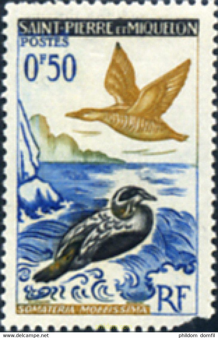 354169 MNH SAN PEDRO Y MIQUELON 1963 AVES - Oblitérés