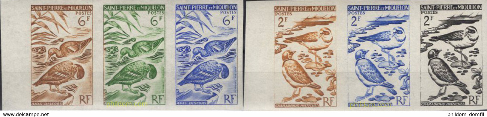 674613 MNH SAN PEDRO Y MIQUELON 1963 AVES - Oblitérés