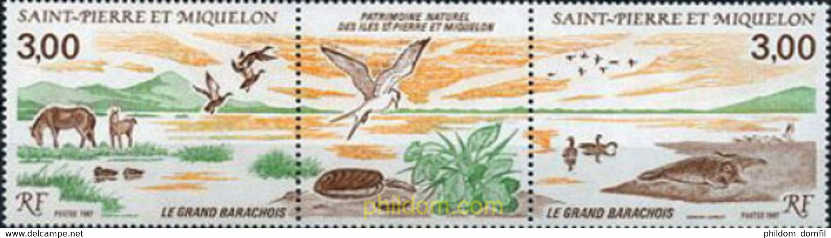 154384 MNH SAN PEDRO Y MIQUELON 1987 NATURALEZA - Used Stamps