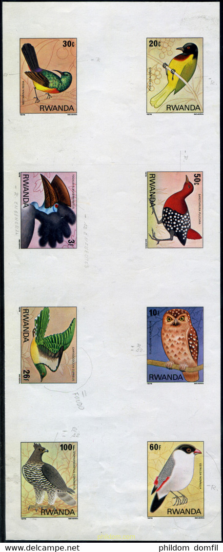 221919 MNH RUANDA 1980 AVES - 1980-1989