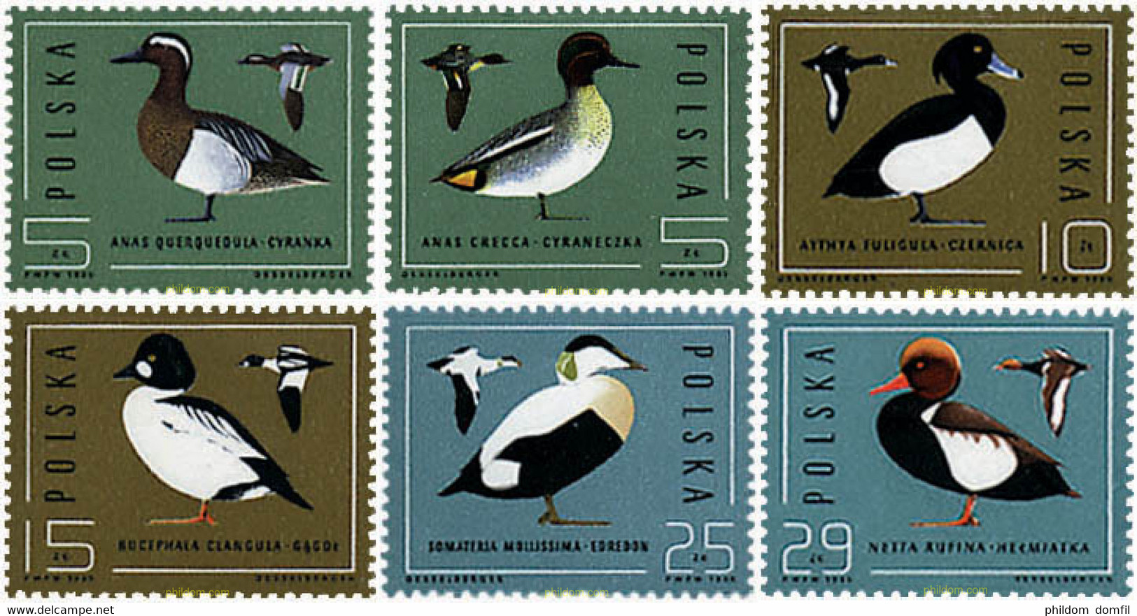 61712 MNH POLONIA 1985 PATOS - Non Classificati