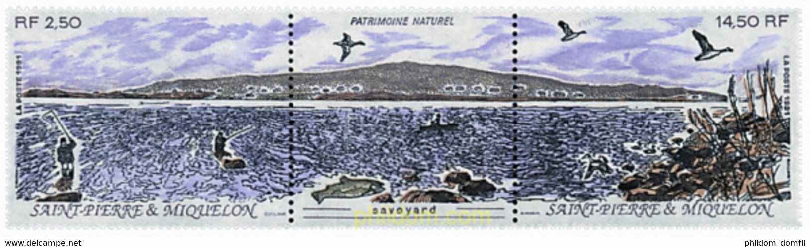 138372 MNH SAN PEDRO Y MIQUELON 1991 PATRIMONIO NATURAL - Usados