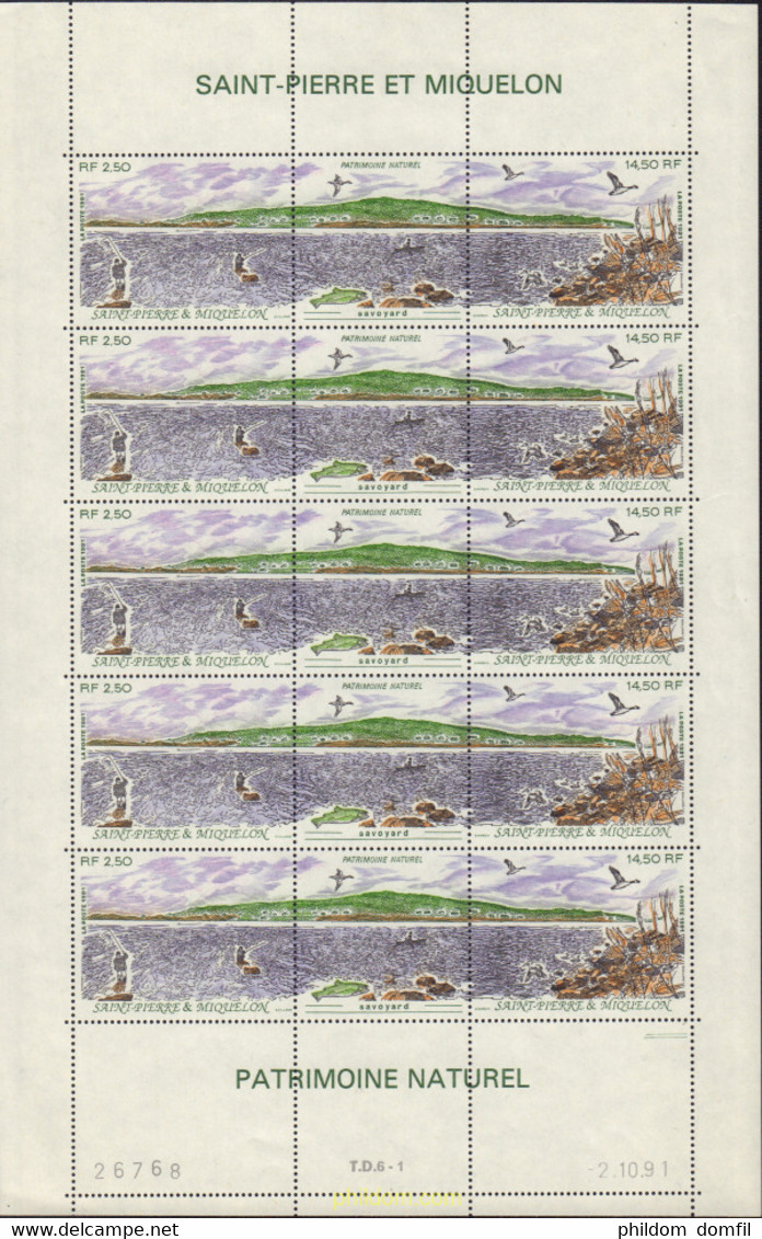 580724 MNH SAN PEDRO Y MIQUELON 1991 PATRIMONIO NATURAL - Used Stamps