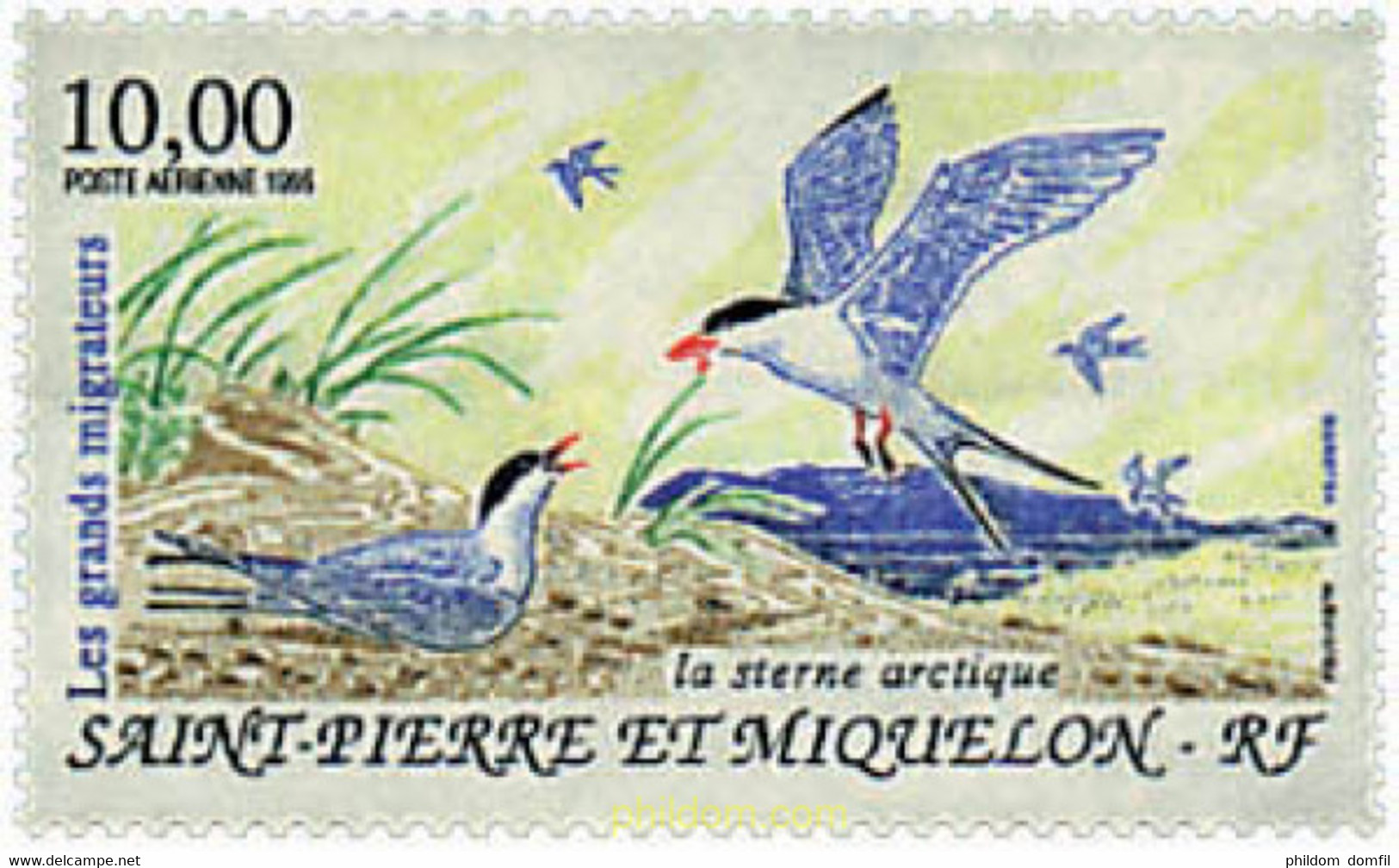 36952 MNH SAN PEDRO Y MIQUELON 1995 AVES MIGRATORIAS - Usados