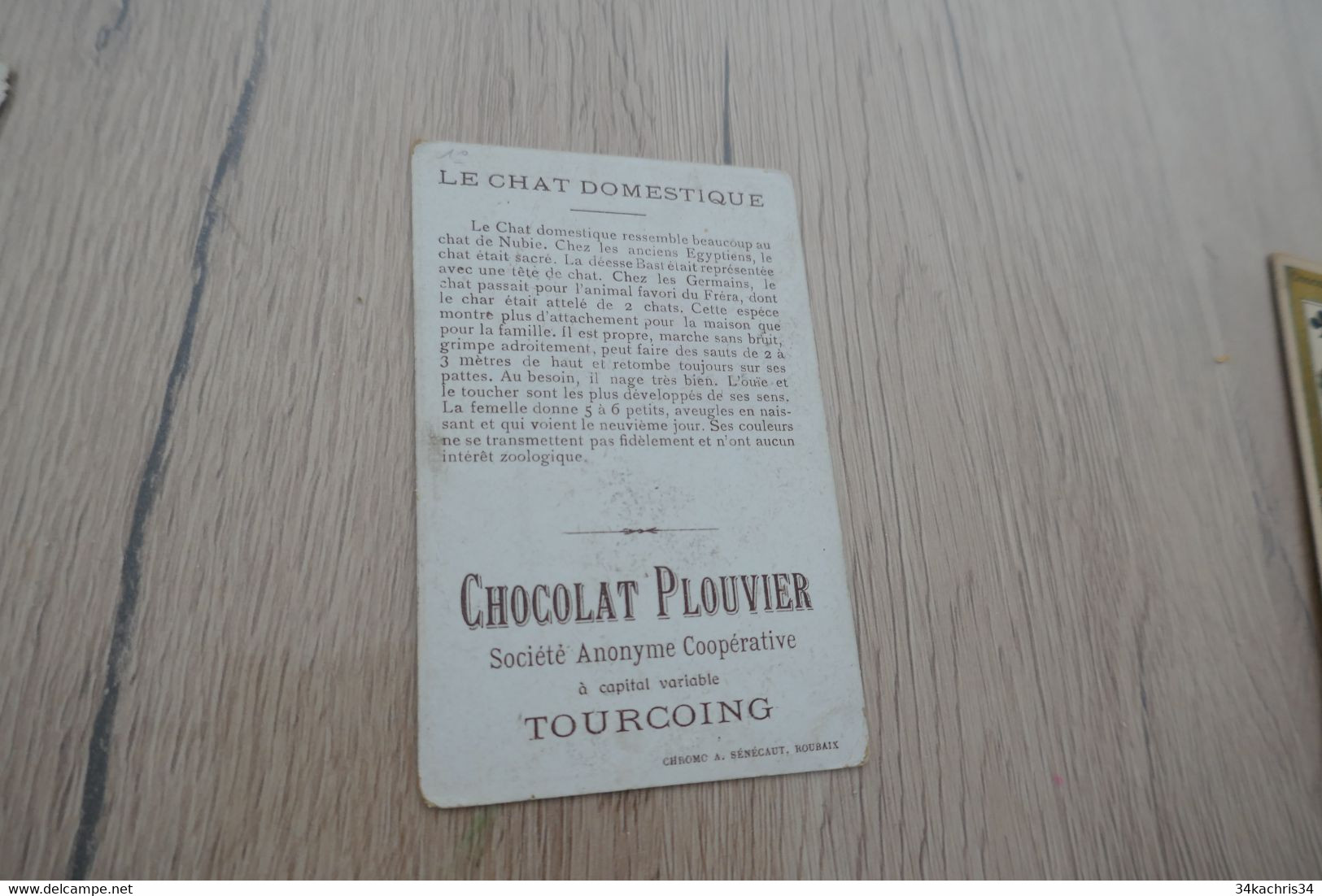 Chromo Ancien Chocolat Poulain Chat Domestique - Poulain