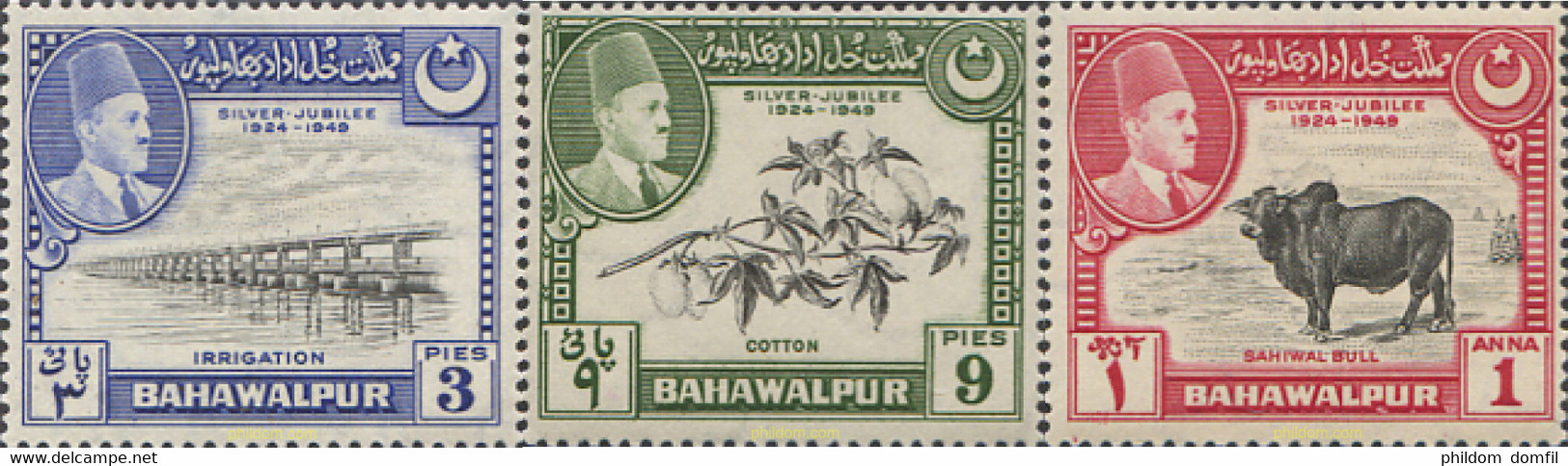 662193 MNH BAHAWALPUR 1949 25 ANIVERSARIO DEL SOBERANO - Bahawalpur