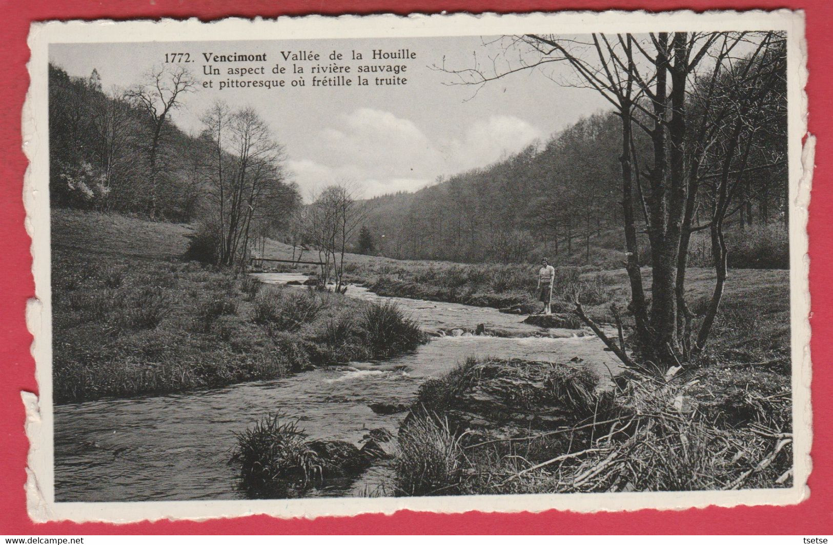 Vencimont - Vallée De La Houille, Aspect Rivière Sauvage - 1960 ( Voir Verso ) - Gedinne