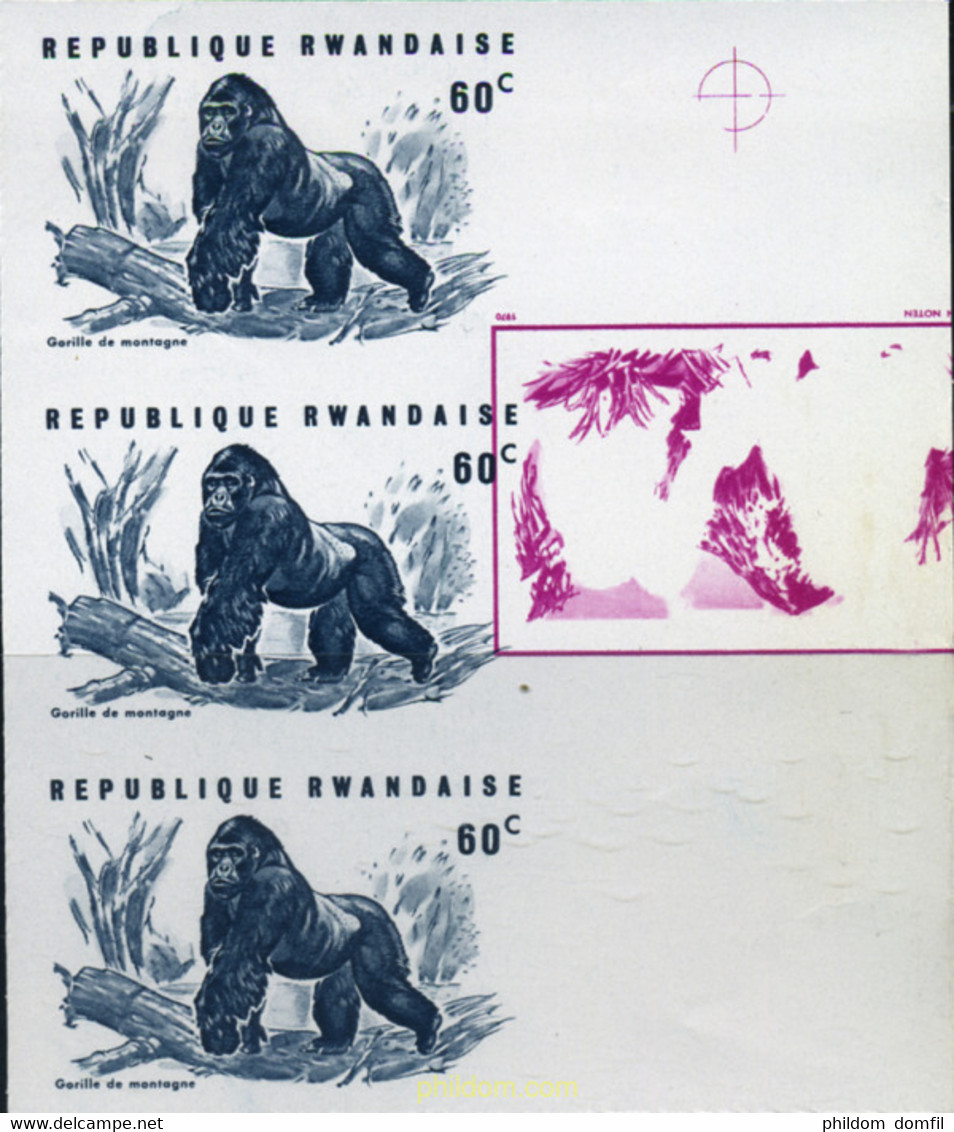 221460 MNH RUANDA 1970 GORILAS - 1970-1979