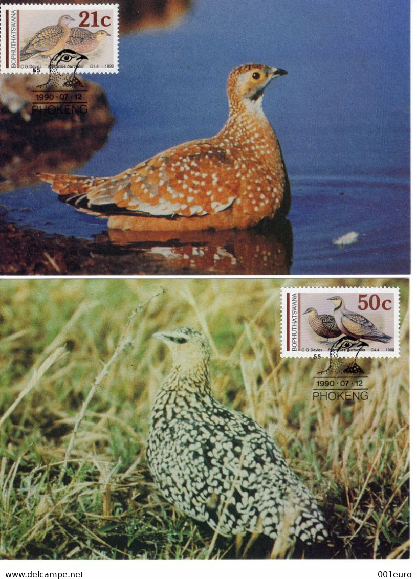 SOUTH AFRICA / BOPHUTHATSWANA 1990: BIRDS, 2 Maximum Cards - Registered Shipping! - Storia Postale