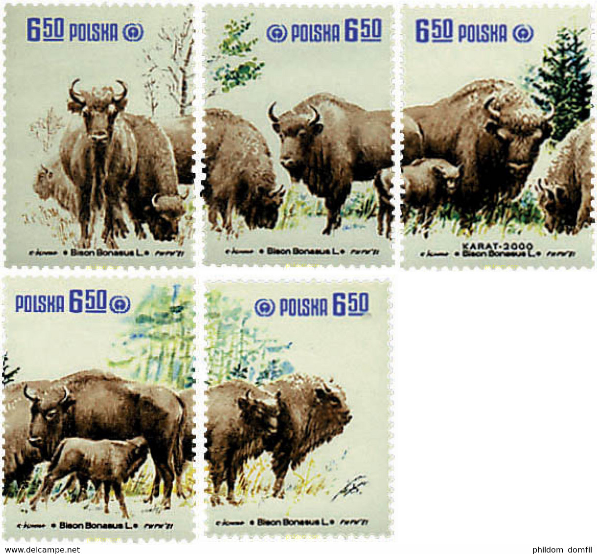 61699 MNH POLONIA 1981 PROTECCION DE LA NATURALEZA. BISONTES. - Non Classés