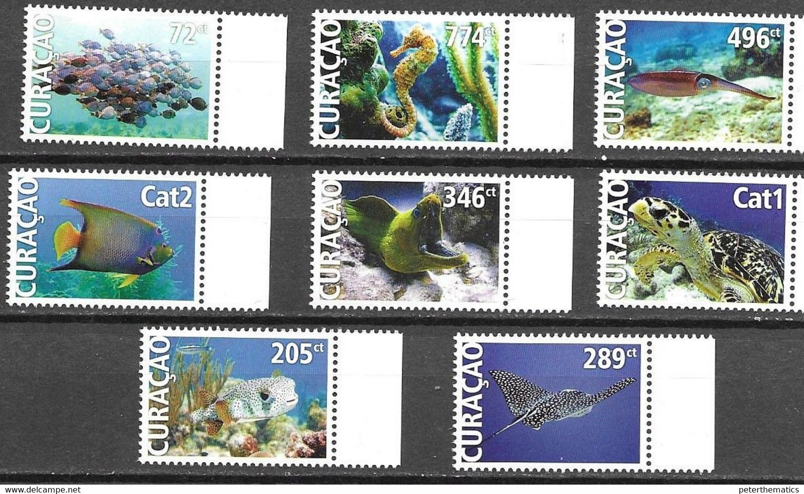 CURACAO, 2022, MNH, MARINE LIFE, FISH, EELS, TURTLES, SEAHORSES, STING RAYS, 8v - Vissen