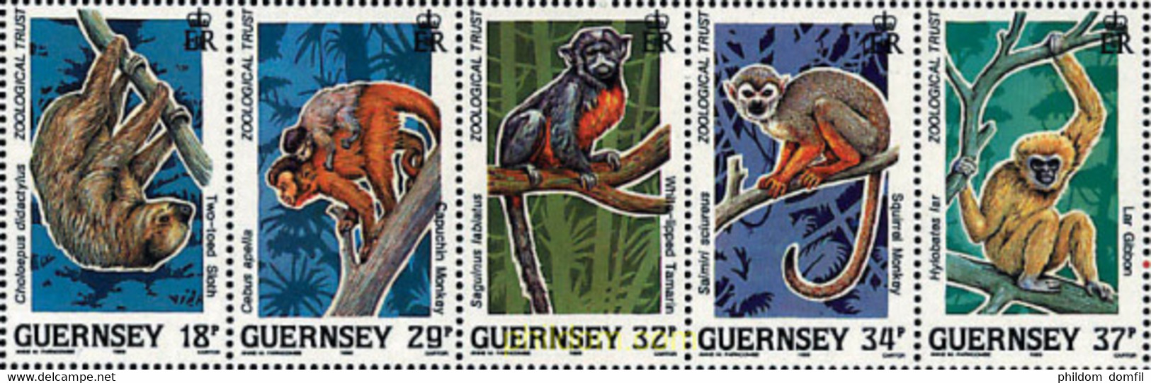 166960 MNH GUERNSEY 1989 PROTECCION DE LA NATURALEZA - Schimpansen