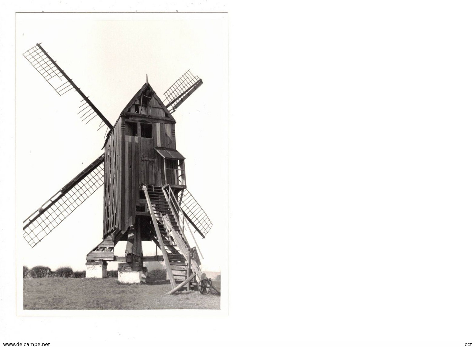 Meulebeke   FOTO  Van De Bosterhoutmolen        1980   MOLEN  MOULIN - Meulebeke