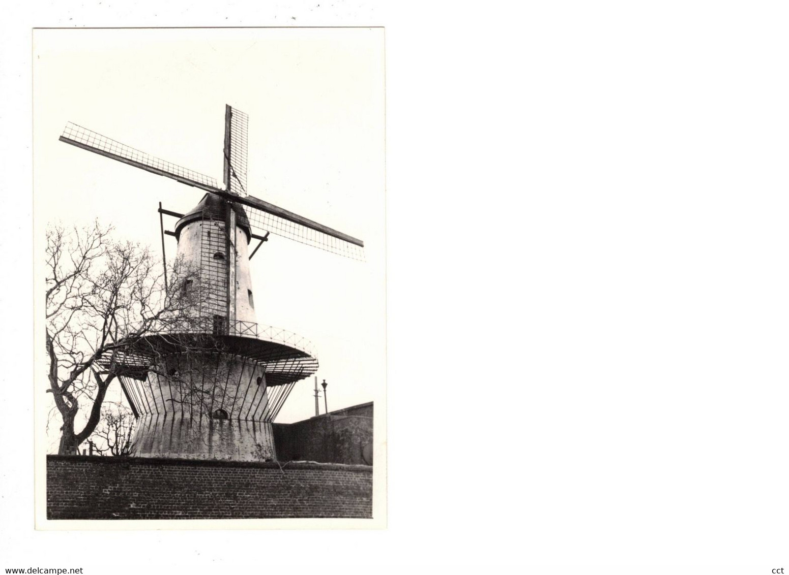 Deerlijk   FOTO  Van De Molen Ter Geest      1980   MOLEN  MOULIN - Deerlijk