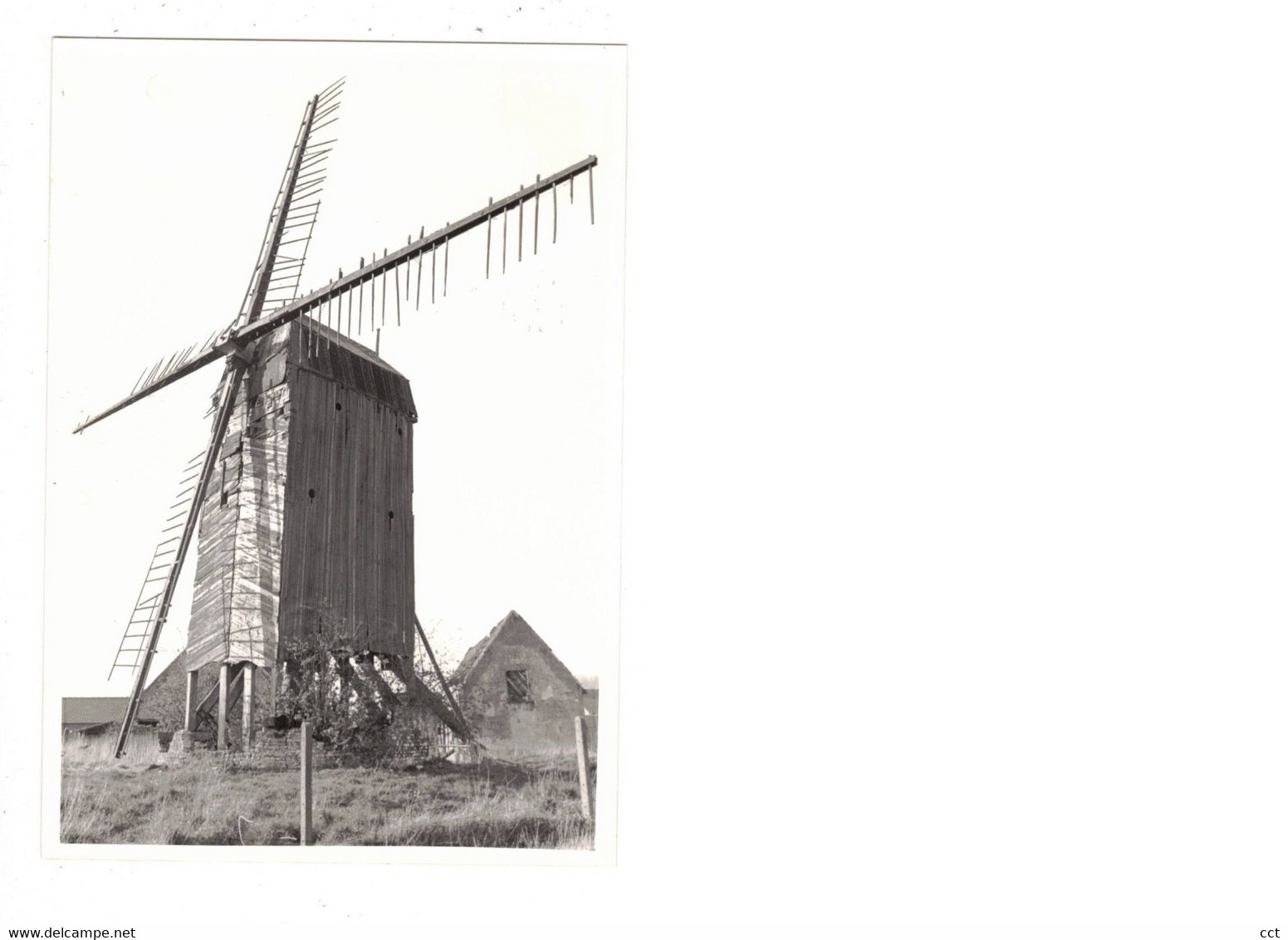 Stasegem  Harelbeke   FOTO  Van De Koutermolen      1980   MOLEN  MOULIN - Harelbeke