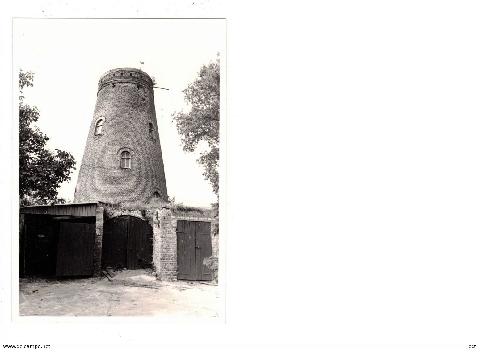 Sijsele  Damme  FOTO  Van De Molen  Oude Akkermolen       1980   MOLEN  MOULIN - Damme