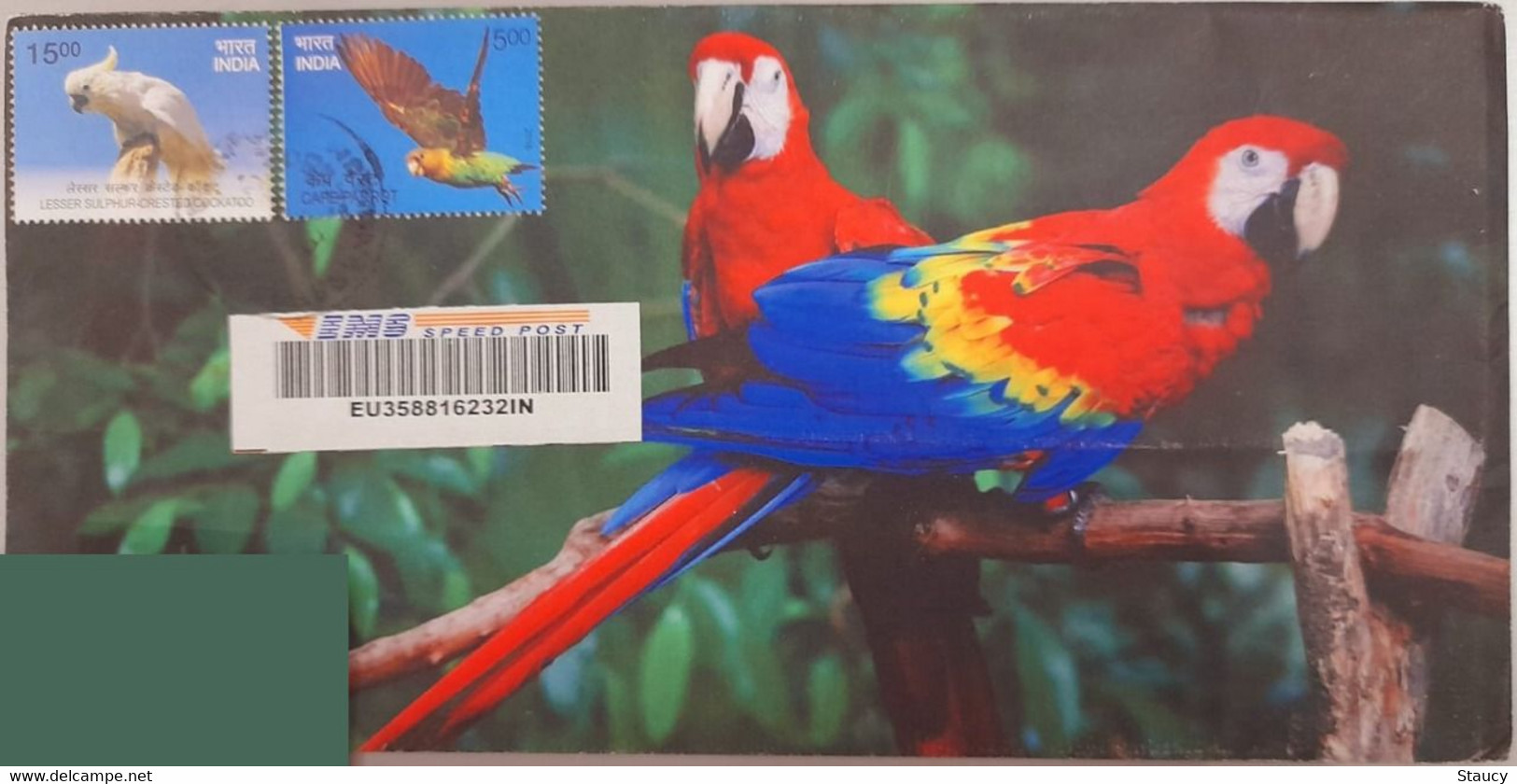 India 2018 Beautiful Designer Private Envelopes Bearing Exotic Birds Issue Stamps / Parrots On Stamp, ​​​​​​​Registered - Cuco, Cuclillos