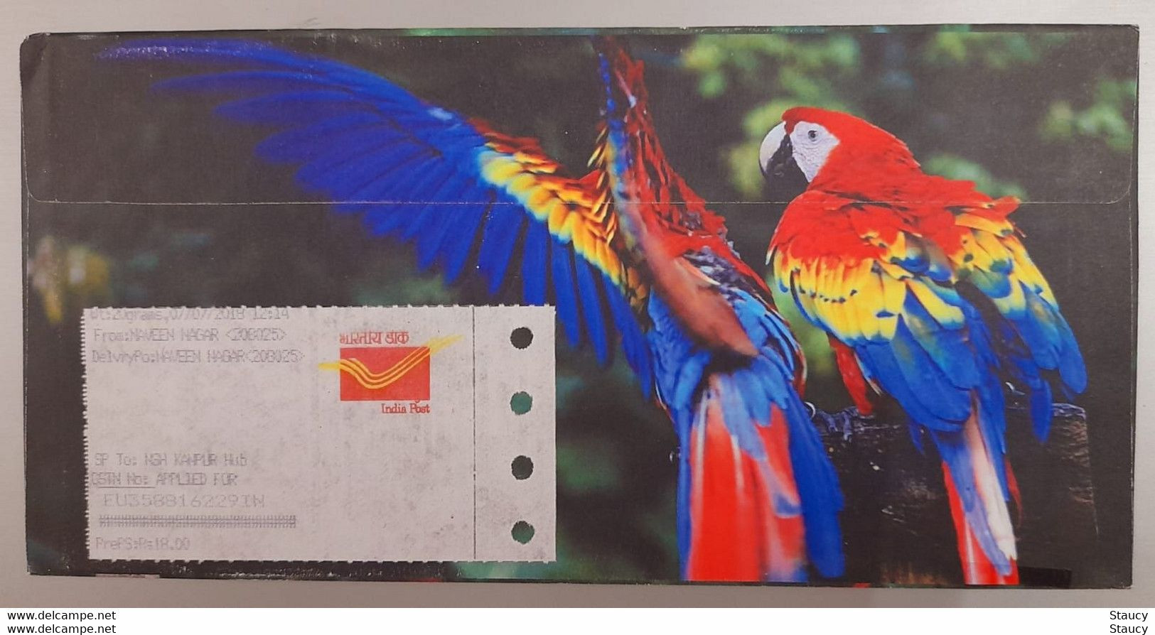 India 2018 Beautiful Designer Private Envelopes Bearing Exotic Birds Issue Stamps / Parrots On Stamp, ​​​​​​​Registered - Cuco, Cuclillos