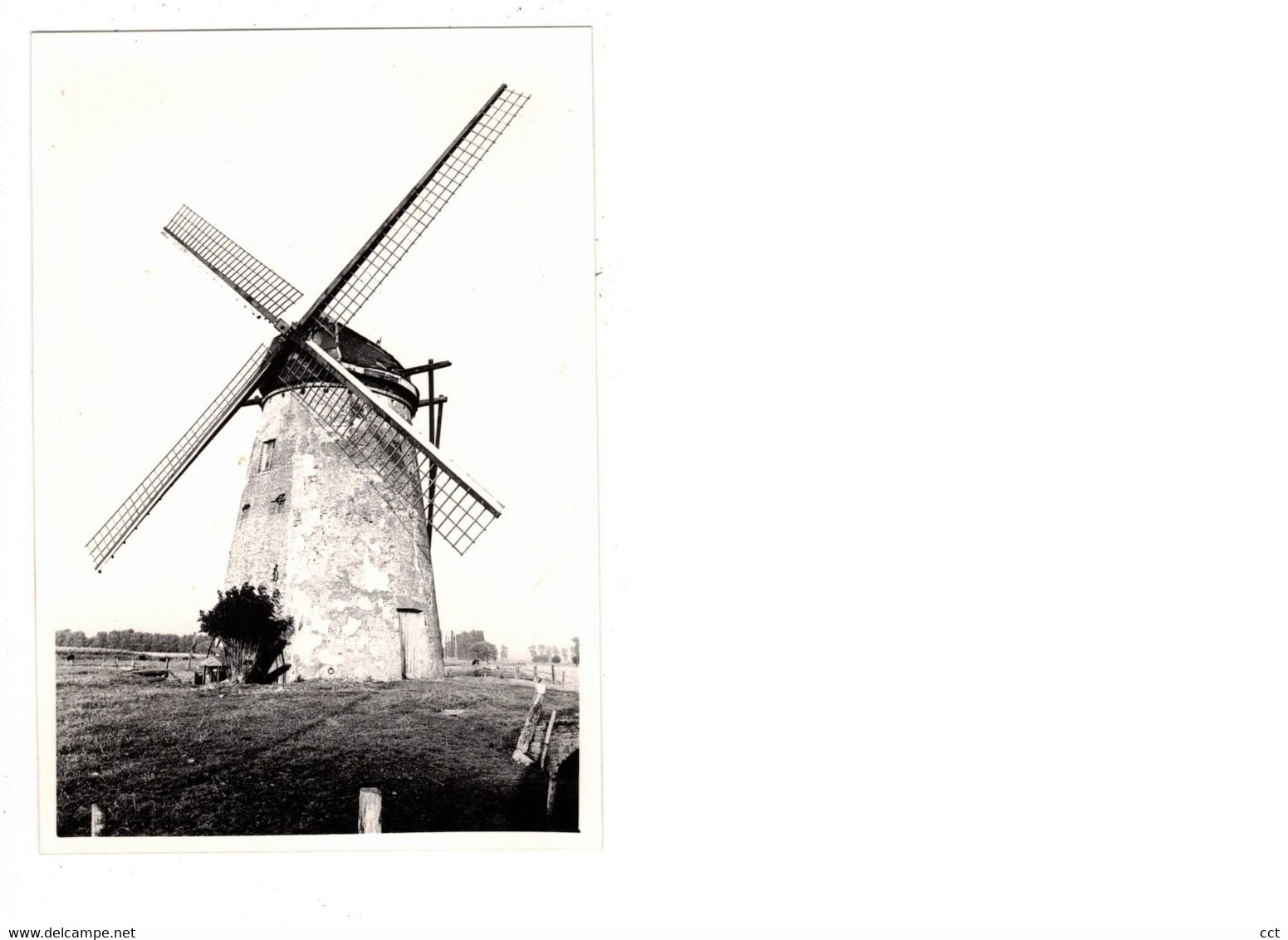 Meetkerke  Zuienkerke   FOTO  Van De Grote Molen  Biezestraat   1979 MOLEN  MOULIN - Zuienkerke