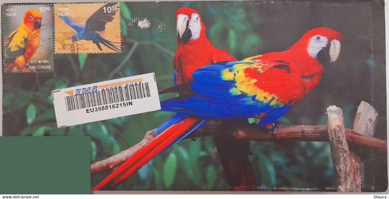 India 2018 Beautiful Designer Private Envelopes Bearing Exotic Birds Issue Stamps / Parrots On Stamp, ​​​​​​​Registered - Kuckucke & Turakos