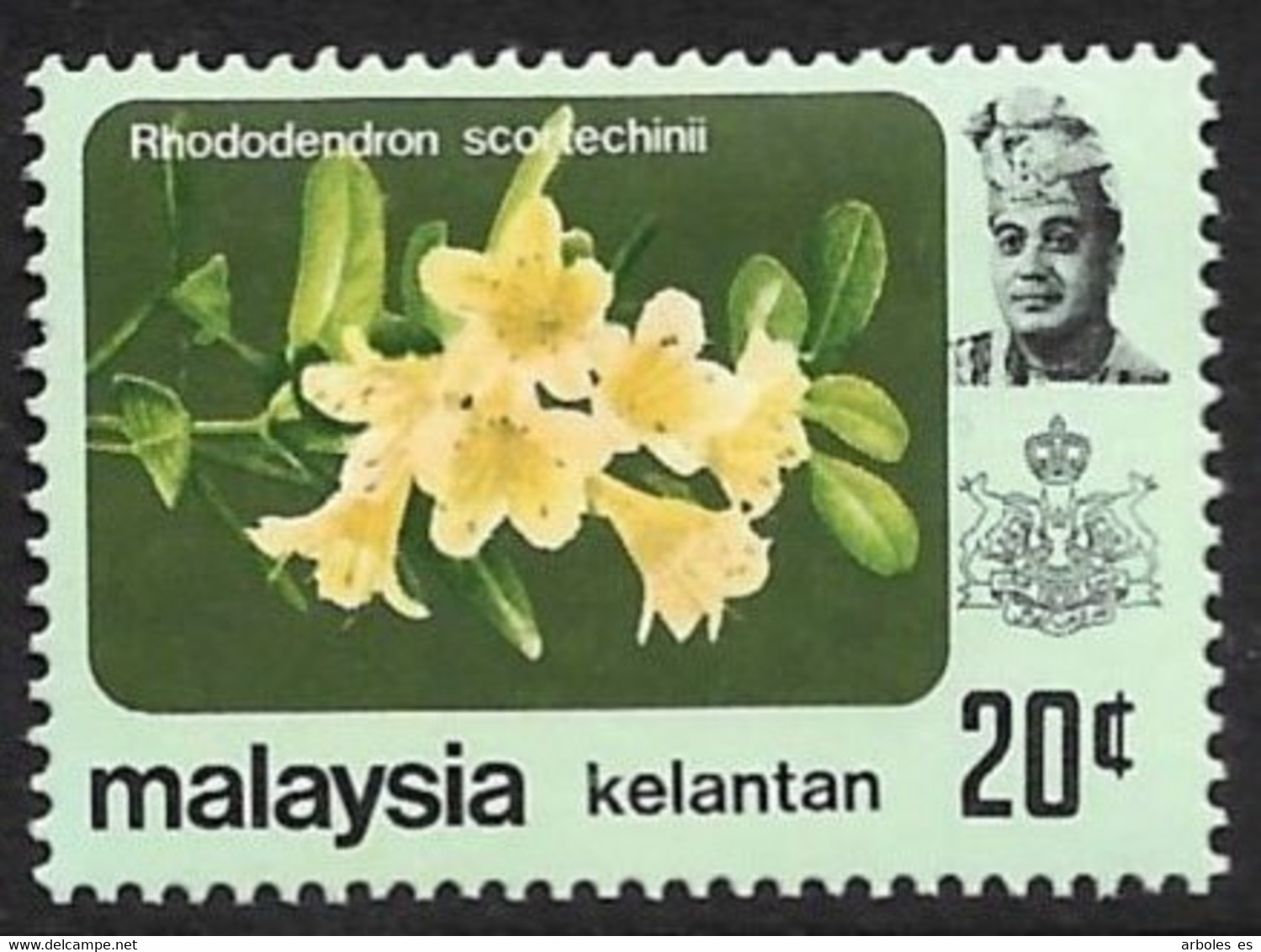 MALASIA - KELATAN - FLORA - AÑO 1979 - CATALOGO YVERT Nº 0116 - NUEVOS - Kelantan