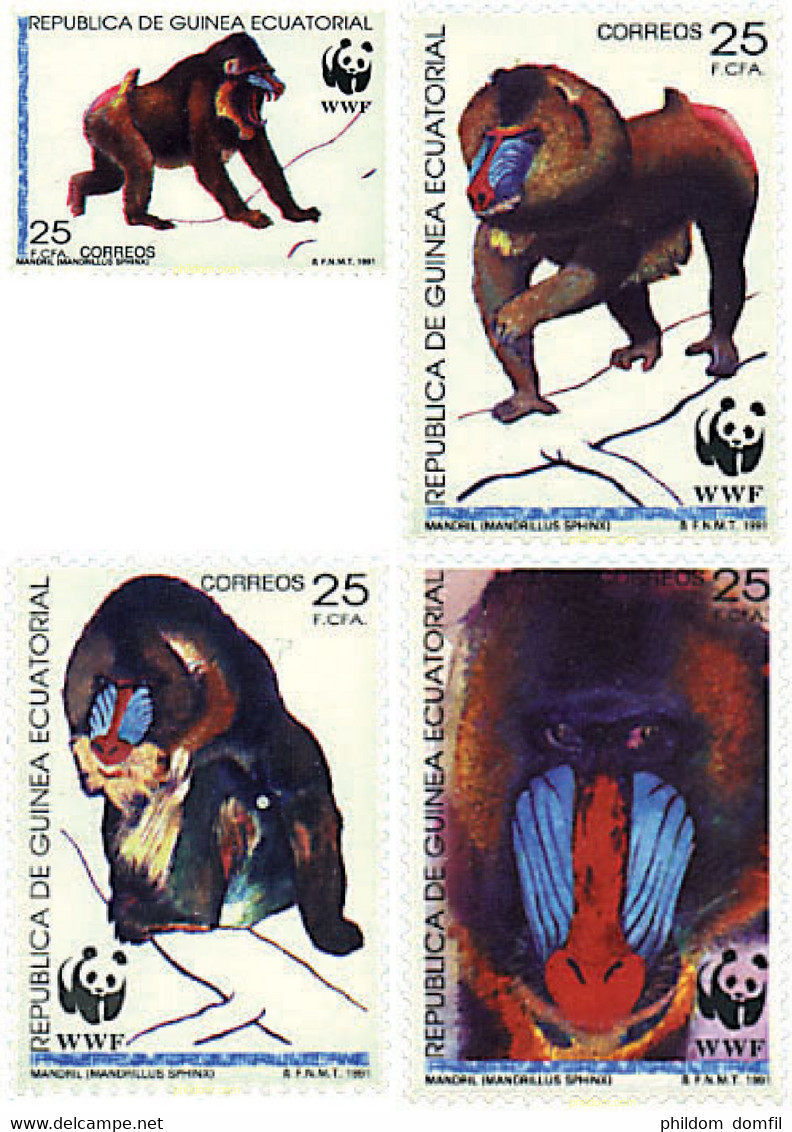 74417 MNH GUINEA ECUATORIAL 1991 MANDRIL - Chimpanzees