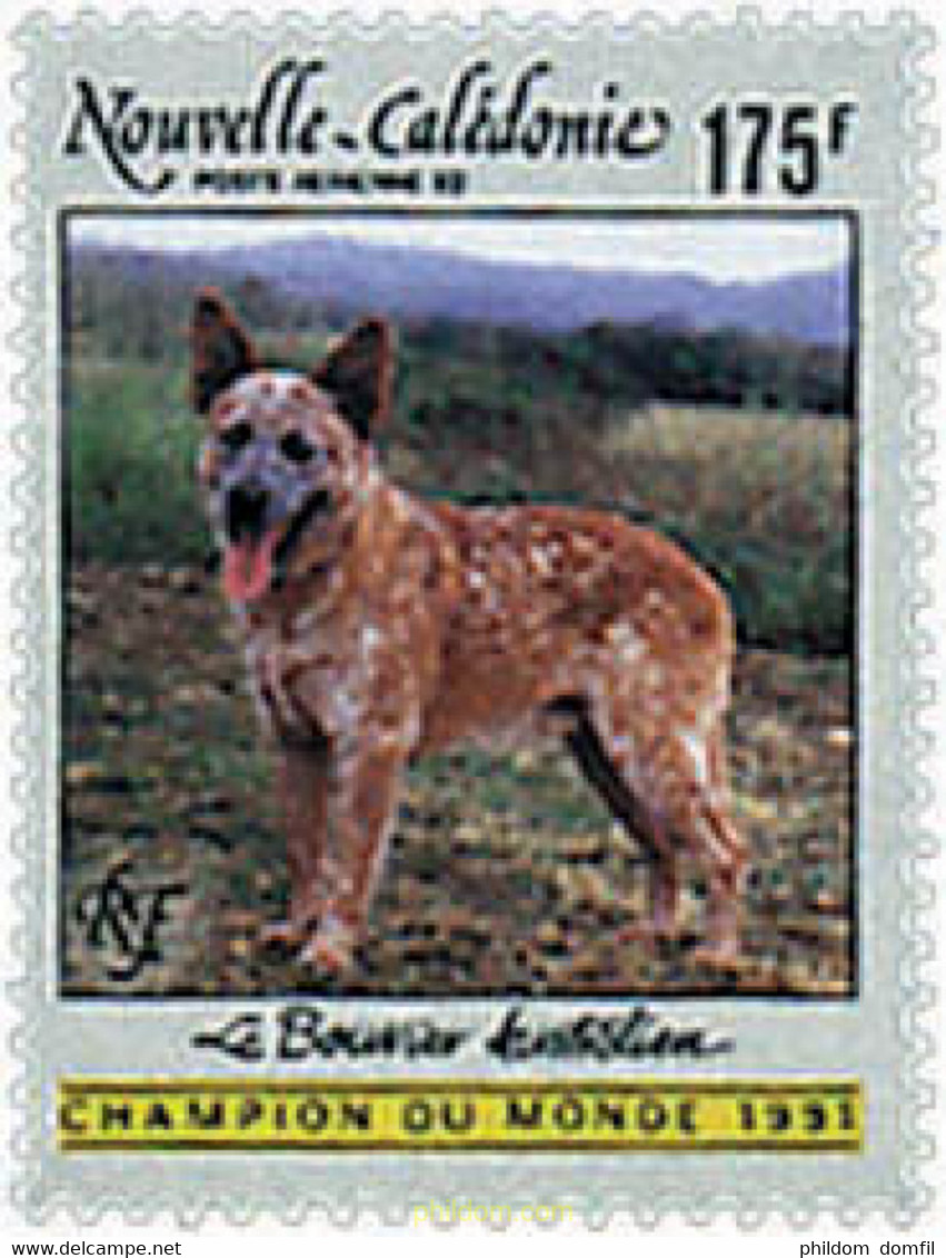 46640 MNH NUEVA CALEDONIA 1992 PERRO - Gebruikt