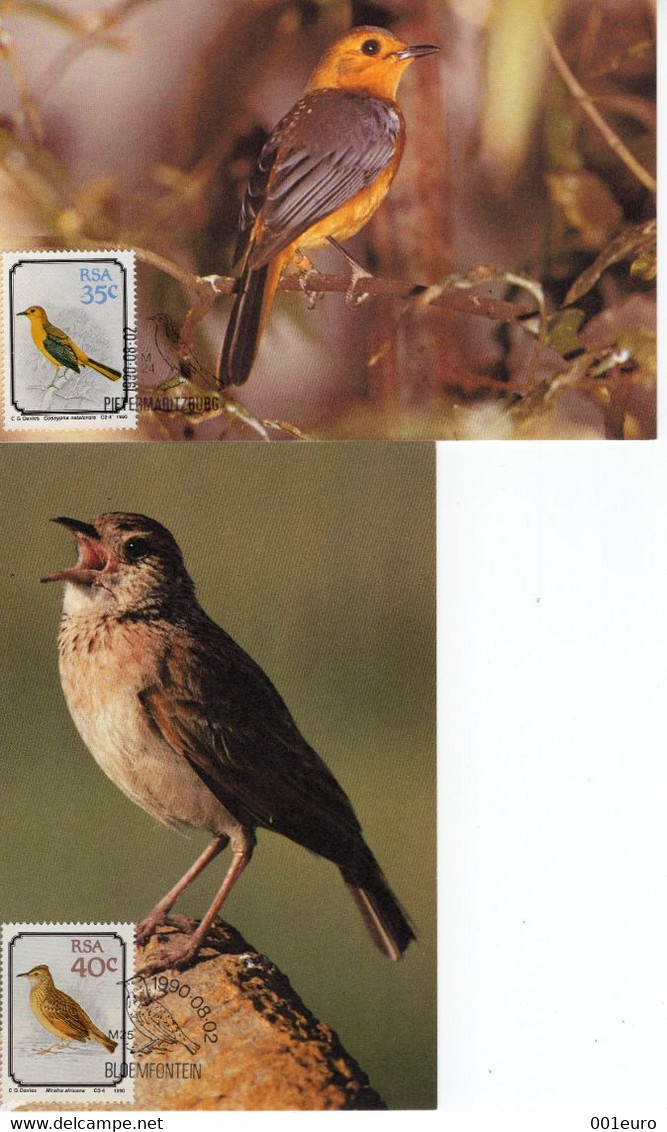SOUTH AFRICA  1990: BIRDS, 2 Maximum Cards - Registered Shipping! - Lettres & Documents