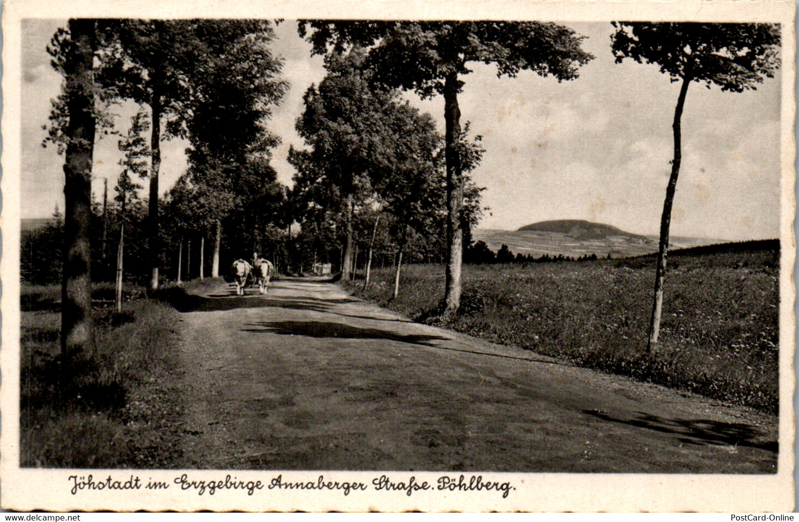 39203 - Deutschland - Jöhstadt Im Erzgeb. Annaberger Strafse Pöhlberg , Ochsenwagen - Gelaufen 1941 - Jöhstadt