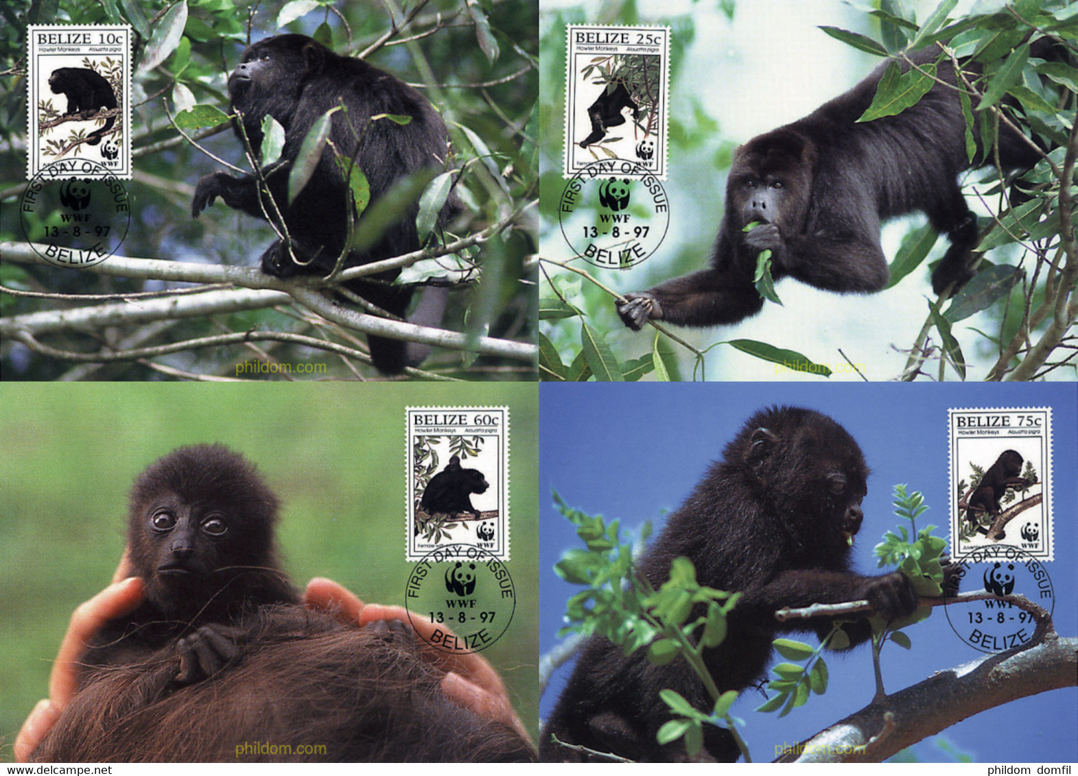 7434 MNH BELIZE 1997 MONO AULLADOR NEGRO - Chimpansees